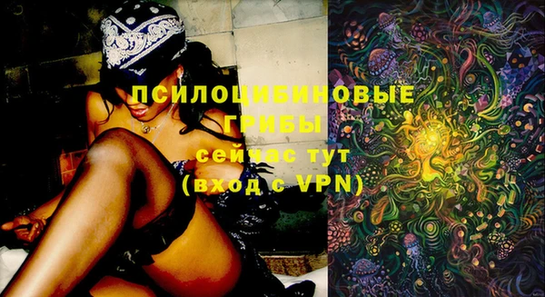 спиды Покров